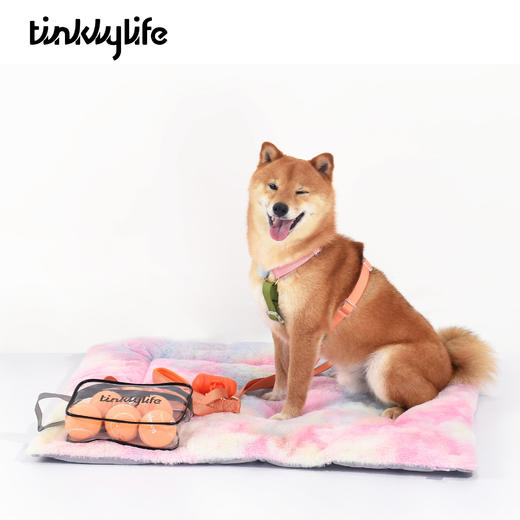 Tinklylife RAINBOW彩虹系列 双面窝垫床（单面防水） 商品图7