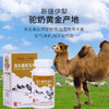 【买1送1,买2送2再减10,多买优惠】白云山敬修堂益生菌驼乳钙片 商品缩略图2