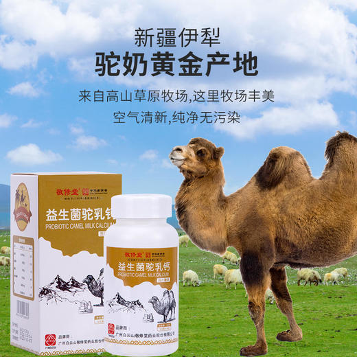 【买1送1,买2送2再减10,多买优惠】白云山敬修堂益生菌驼乳钙片 商品图2