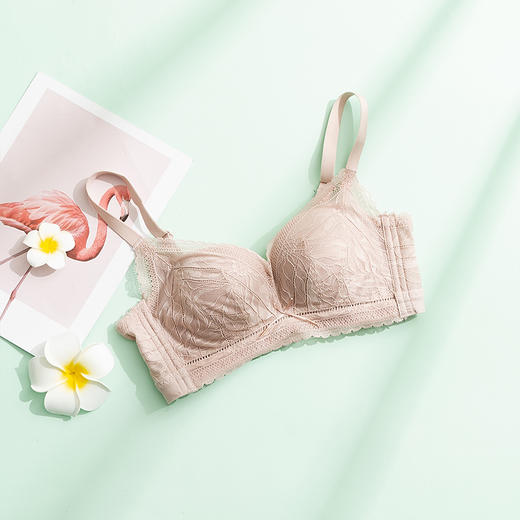 TG-TG02S109真丝无钢圈文胸 蕾丝性感桑蚕丝内衣 薄款收副乳透气 商品图7
