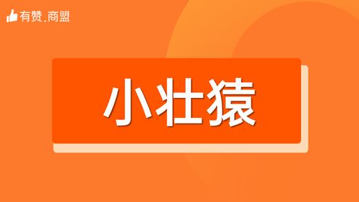 【小壮猿】招商 商品图0