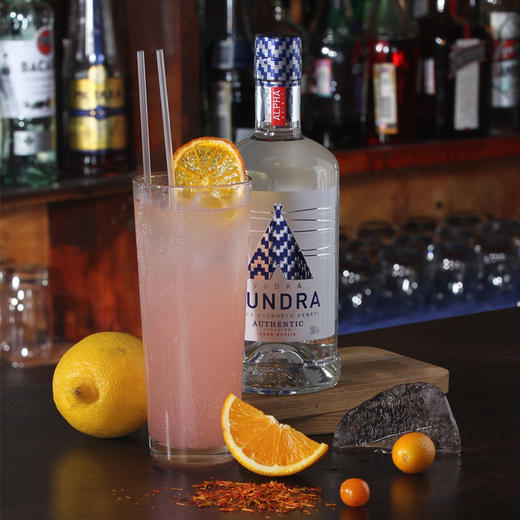 【Alpha级精酿】俄罗斯进口 极北苔原伏特加 500ml 洋酒vodka 烈酒 鸡尾酒 多口味 商品图2