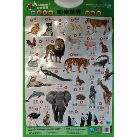 小海豚启蒙必备挂图 动物世界 双面有声版