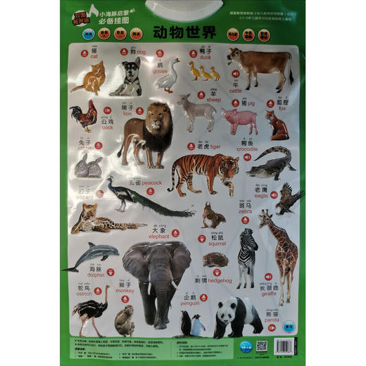 小海豚启蒙必备挂图 动物世界 双面有声版 商品图0