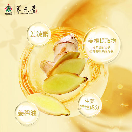 【洗发水】云南白药养元青生姜小养洗发露强根健发500ml大瓶装洗发水l大瓶装无硅油 商品图3