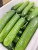 水果小黄瓜（一份500克） 商品缩略图0