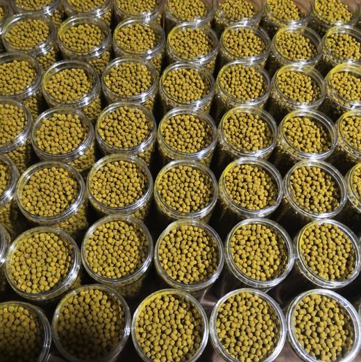 丨有机丨长汀姜黄粉250g  三味姜黄丸200g 商品图3