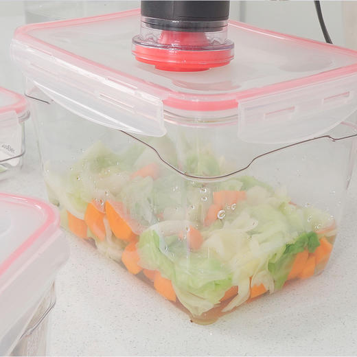 【真空长久保鲜】密封保鲜袋/密封保鲜盒 可抽真空 商品图5