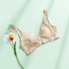 TG-TG02S103春夏真丝无钢圈文胸 蕾丝性感薄款大胸桑蚕丝内衣透气 商品缩略图5