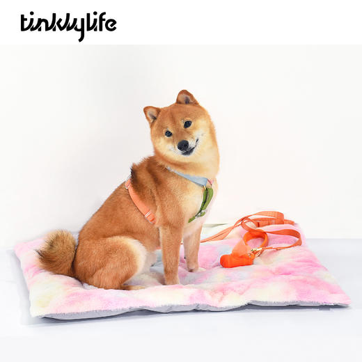 Tinklylife RAINBOW彩虹系列 双面窝垫床（单面防水） 商品图5