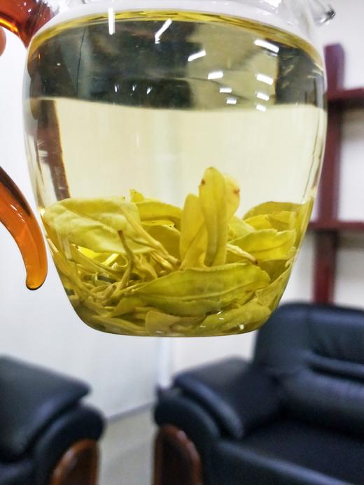 【茶馆茶叶】【北方佳人】小众茶第42期丨黄金芽丨  口感鲜香 金黄色的叶片、贵气十足、没有什么叶绿素、苦涩不存、且富含丰富的氨基酸 商品图2