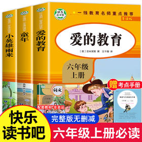 【老师推荐】爱的教育小英雄雨来童年书全套3册高尔基正版原著完整版 快乐读书吧六年级上册必读小学生课外阅读书籍上学期经典名著