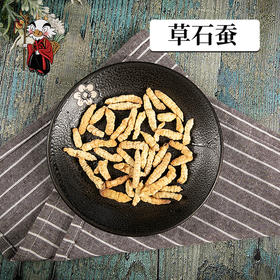中药材批发 草石蚕 地蚕 1000克/500克
