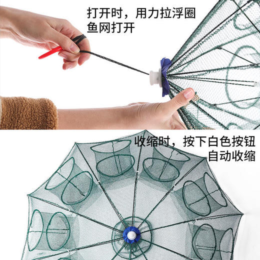 虾笼鱼网伞网鱼笼捕虾网螃蟹笼黄鳝笼渔网捕鱼网泥鳅笼伞笼 商品图5