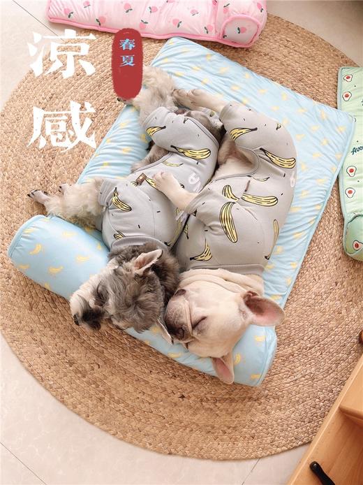 夏季冰丝凉感宠物垫解暑降温不粘毛！全场满80元包邮！ 商品图1