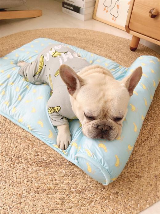 夏季冰丝凉感宠物垫解暑降温不粘毛！全场满80元包邮！ 商品图2