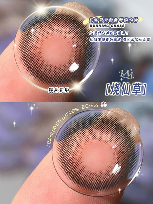 年抛 Truecon 烧仙草 14.0 着色13.0 编号300 商品图5