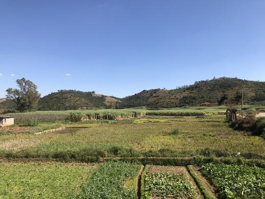 糖溪果云南古法老冰糖——这个炎夏、迎风而来 商品图3