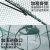 虾笼鱼网伞网鱼笼捕虾网螃蟹笼黄鳝笼渔网捕鱼网泥鳅笼伞笼 商品缩略图6