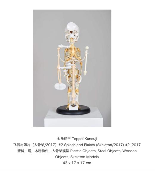 金氏彻平-《飞溅与薄片（人骨架/2017）#2 》 商品图1