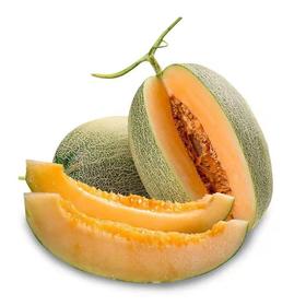 西州蜜哈密瓜（生鲜类商品当日取货，过期按取货日价格）