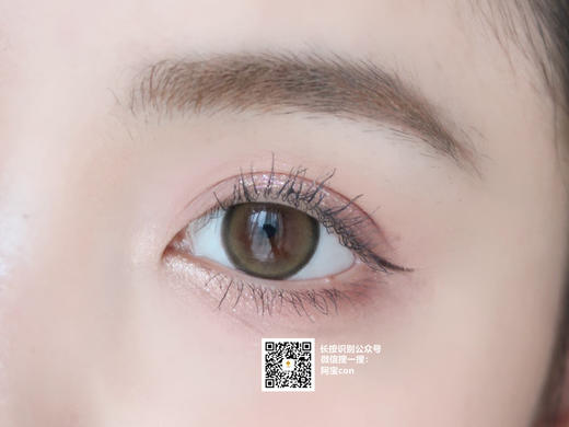 SWT甜心狗狗棕【日抛·十片装】 商品图0