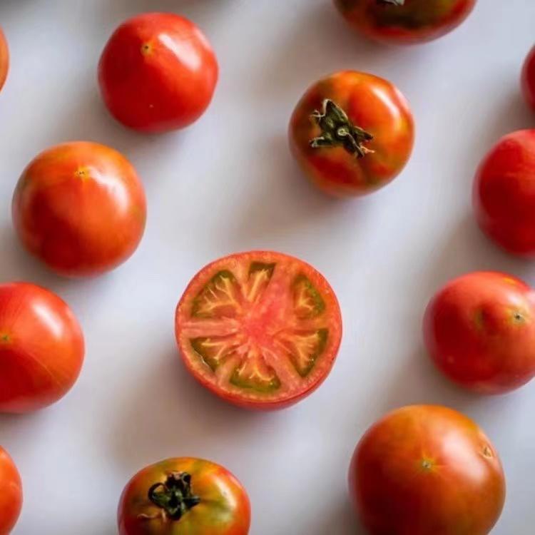 有机番茄 嘎啦果约4.