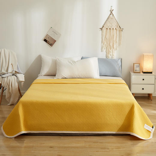 【冰丝凉感夏凉被】夏季升级版柔滑冰丝被 夏季空调被子薄款不闷热 商品图3