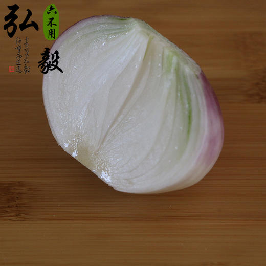 【弘毅六不用生态农场】六不用 顺季节 不盖地膜 洋葱5斤/份 商品图2