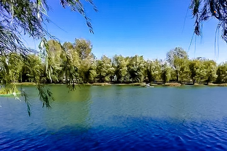 u=342167251,865160799&fm=15&fmt=auto&gp=0.webp.jpg
