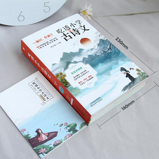吃透小学古诗文（全6册）赠精美手账 6-12岁 古诗词中承载着让人感动的美 商品图5