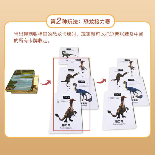 金角鹿亲子桌游：恐龙乐园+小鱼翻翻乐 思维逻辑训练书儿童益智玩具卡 商品图4