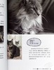 【中商原版】猫逻辑 亚洲第一位国际认证猫行为谘询师 教你用猫的逻辑思考 就能轻松解决猫咪行为问题 畅销新装版 港台原版 林子轩 野人 商品缩略图7