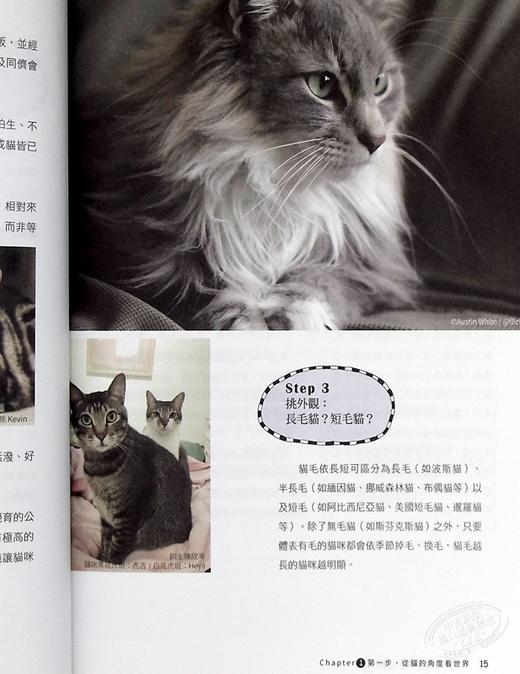 【中商原版】猫逻辑 亚洲第一位国际认证猫行为谘询师 教你用猫的逻辑思考 就能轻松解决猫咪行为问题 畅销新装版 港台原版 林子轩 野人 商品图7