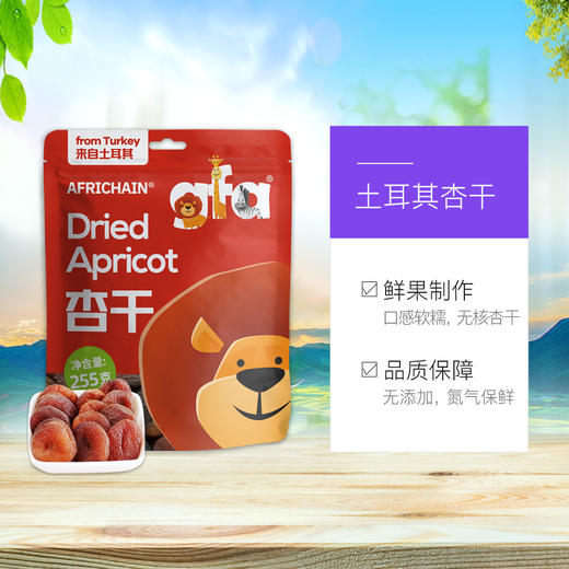 爱非瑞辰牌杏干108g/袋 商品图2