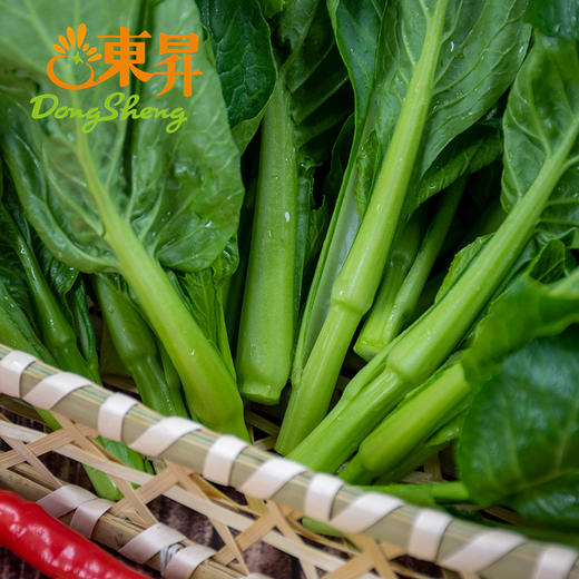 东升供港菜心苗 小菜心 菜薹苗 广州蔬菜新鲜配送 250g 商品图4