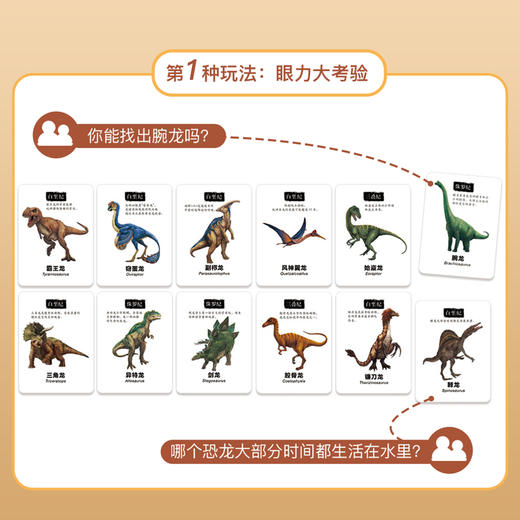 金角鹿亲子桌游：恐龙乐园+小鱼翻翻乐 思维逻辑训练书儿童益智玩具卡 商品图3