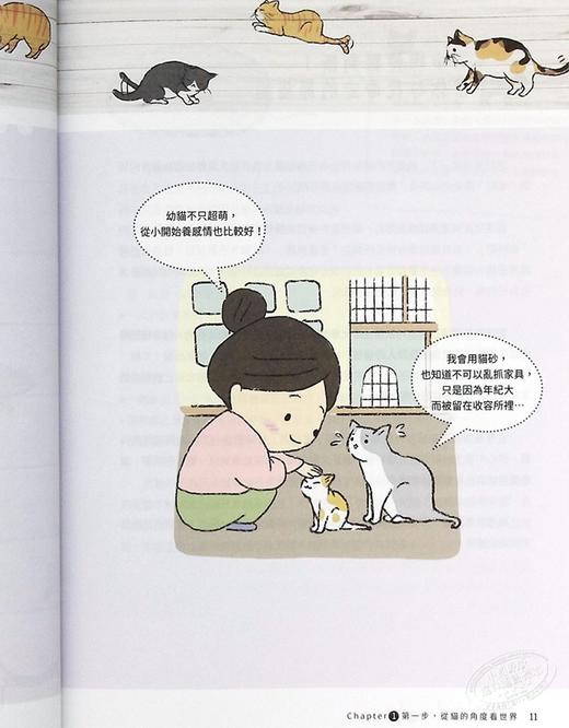 【中商原版】猫逻辑 亚洲第一位国际认证猫行为谘询师 教你用猫的逻辑思考 就能轻松解决猫咪行为问题 畅销新装版 港台原版 林子轩 野人 商品图6