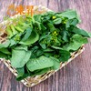 东升菜心 菜薹 广州蔬菜新鲜配送300G 商品缩略图3