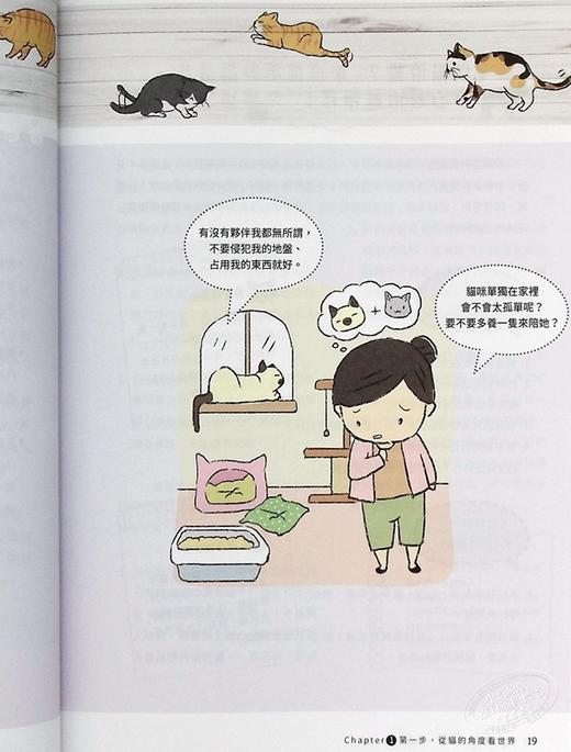 【中商原版】猫逻辑 亚洲第一位国际认证猫行为谘询师 教你用猫的逻辑思考 就能轻松解决猫咪行为问题 畅销新装版 港台原版 林子轩 野人 商品图5