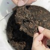 清如许监制普洱熟茶｜2015 藤条熟茶古树普洱200克/饼 商品缩略图2