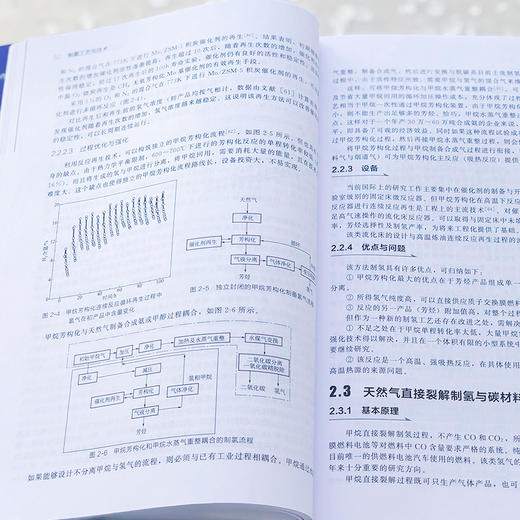 制氢工艺与技术-氢能利用关键技术系列 商品图4