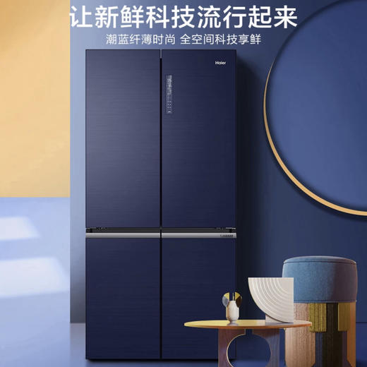 海尔（Haier）冰箱BCD-546WSEKU1 商品图2