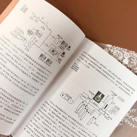 介质阻挡放电降解SF6气体研究及应用 商品图6