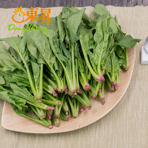 东升农场  供港菠菜苗 250G 广州蔬菜新鲜配送 商品图2