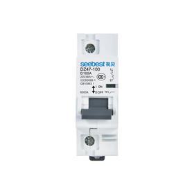 视贝小型断路器 DZ47-100 1P D型