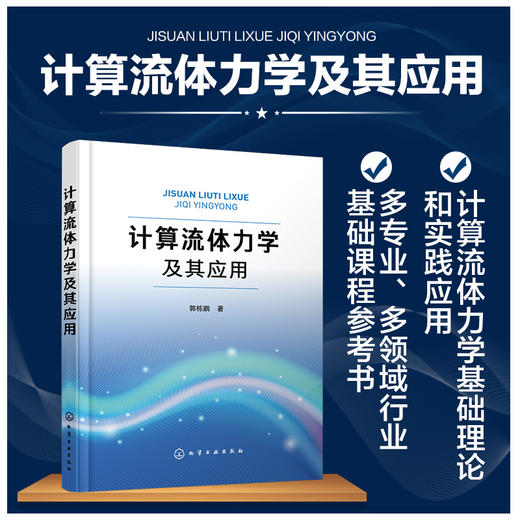 计算流体力学及其应用 商品图1