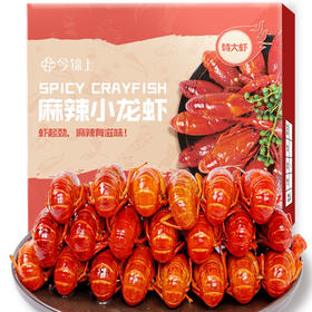 今锦上 麻辣小龙虾  8-10钱特大虾 700g/盒 15-18只 餐饮同款 海鲜火锅方便菜