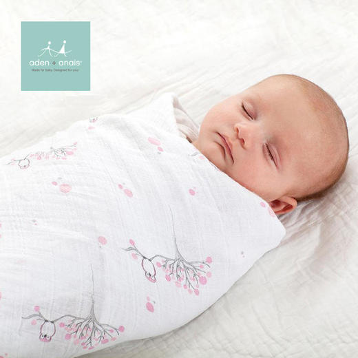 【已下架】积分兑换 | 美国aden+anais多功能襁褓包巾口水巾新生儿礼盒套装（不支持无理由退换） [福利品] 商品图1