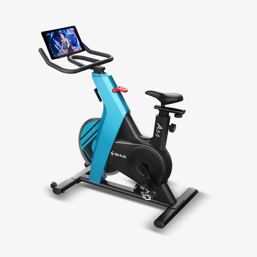 舒华A5-S家用磁控动感单车SH-B599 商品图0